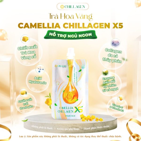 Camellia Chillagen X5 - Ảnh 2