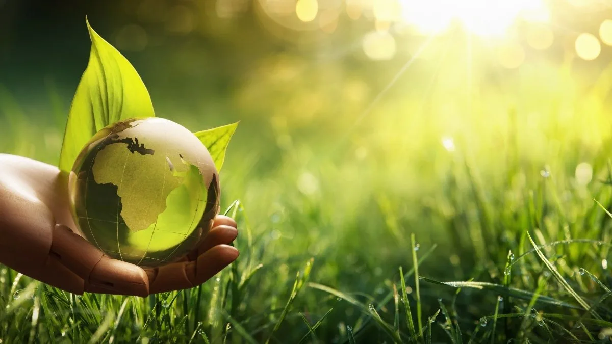 Trang chủ 28 hinh nen bao ve moi truong 20