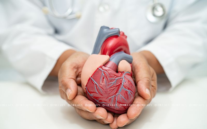 Trà Hoa Vàng dưới góc nhìn Đông y