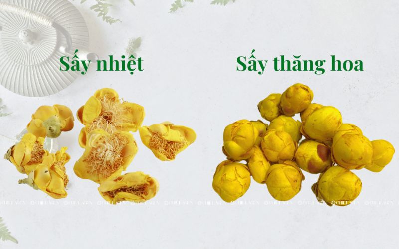 công nghệ sấy thăng hoa 