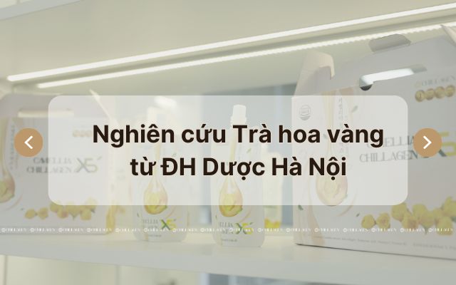 Trà hoa vàng