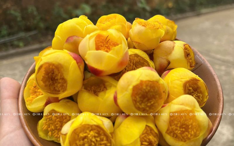 Công nghệ sấy thăng hoa 