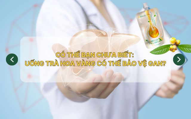 Uống Trà Hoa Vàng có thể bảo vệ gan
