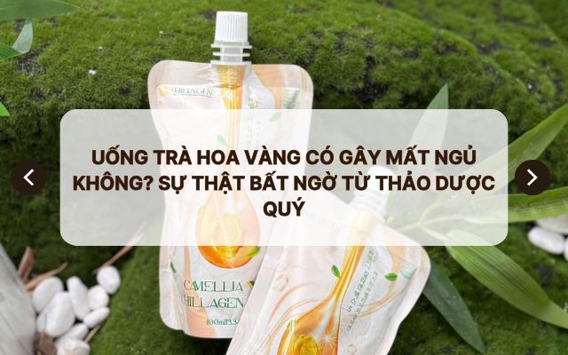 Uống Trà Hoa Vàng có gây mất ngủ không?