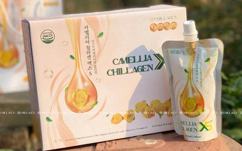 Uống gì tốt cho gan? 6+ Thức uống hữu ích Cho Gan Mỗi Ngày 9 Bạn muốn thử ngay trà mát gan từ trà hoa vàng cổ thụ?