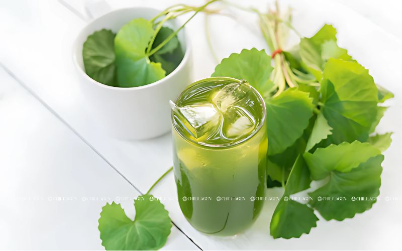 Uống gì tốt cho gan? 6+ Thức uống hữu ích Cho Gan Mỗi Ngày 4 Uống gì tốt cho gan? 6+ Thức uống hữu ích Cho Gan Mỗi Ngày