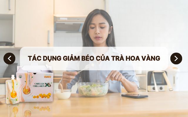Tác dụng giảm béo của Trà Hoa Vàng