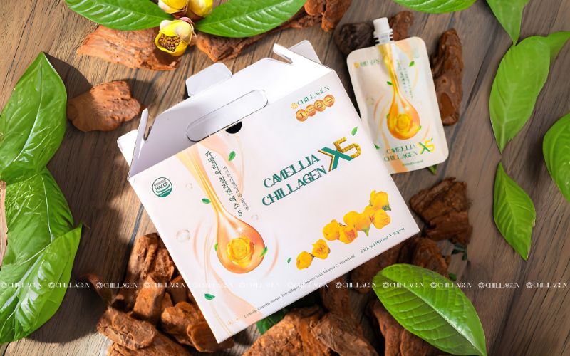 Trà Hoa Vàng làm đẹp da tự nhiên: Bí quyết sáng da, ngừa lão hóa 6 Trà Hoa Vàng làm đẹp da tự nhiên: Bí quyết sáng da, ngừa lão hóa