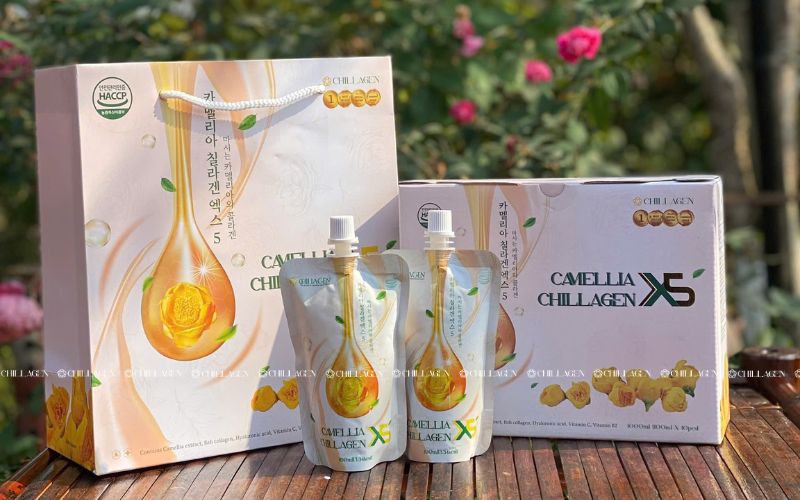 Trà Hoa Vàng có tác dụng gì? 5+ Lợi ích bất ngờ cho sức khỏe 5 Vì sao nên chọn Camellia Chillagen X5