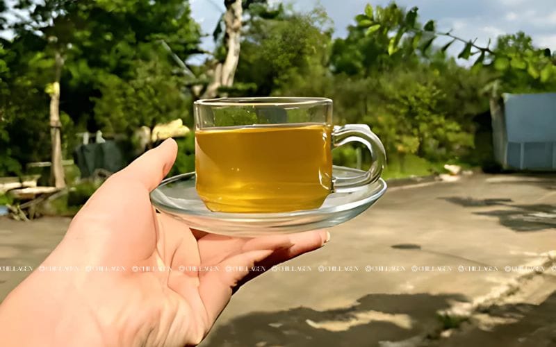 Trà Hoa Vàng uống như thế nào để giúp cơ thể hấp thụ tốt hơn