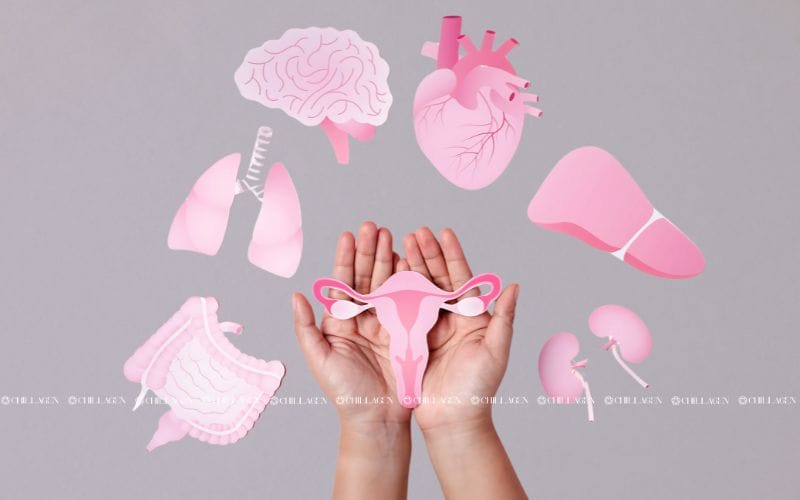 Cách Điều Hòa Nội Tiết Tố Nữ – Bí Quyết Giữ Gìn Sắc Đẹp & Sức Khỏe Toàn Diện