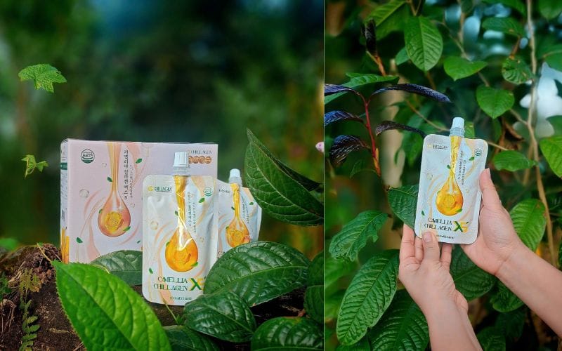 Cách làm sạch cơ thể từ bên trong: Giải độc, dưỡng da, thanh lọc cơ thể 4 Cách Làm Sạch Cơ Thể Từ Bên Trong: Giải Độc, Dưỡng Da Và Tăng Cường Sức Khỏe