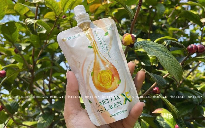  Trà Hoa Vàng uống như thế nào để giúp cơ thể hấp thụ tốt hơn