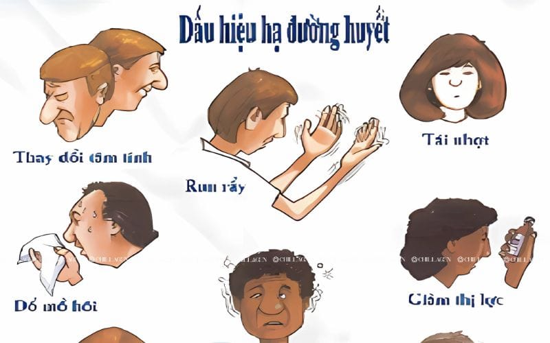 Hạ đường huyết là gì?