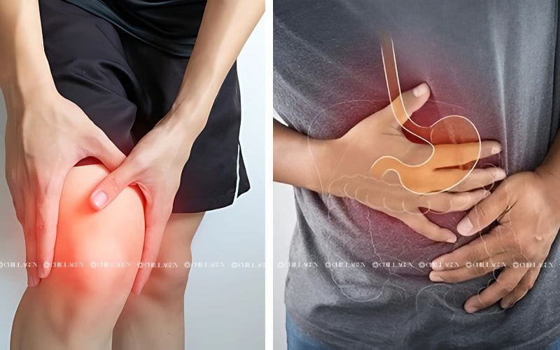 Trà hoa vàng kháng viêm – Giải pháp tự nhiên cho sức khỏe và làn da 1 Trà hoa vàng kháng viêm