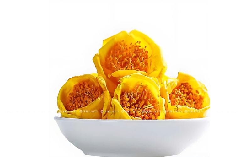  Trà Hoa Vàng uống như thế nào để giúp cơ thể hấp thụ tốt hơn