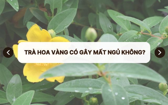 trà hoa vàng có gây mất ngủ không