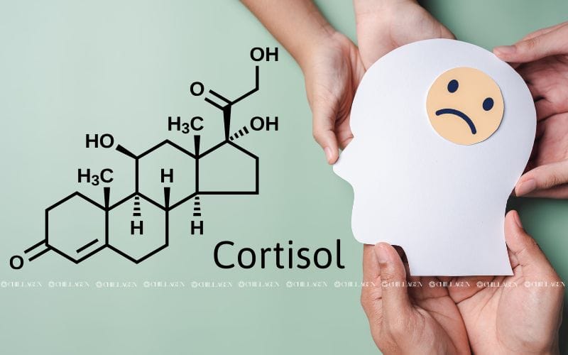 Trà Hoa Vàng giúp giảm stress: Sự thật hay lời đồn? 3 Trà Hoa Vàng Giảm Stress – Bí Quyết Giữ Tâm Trí An Lạc Từ Thiên Nhiên