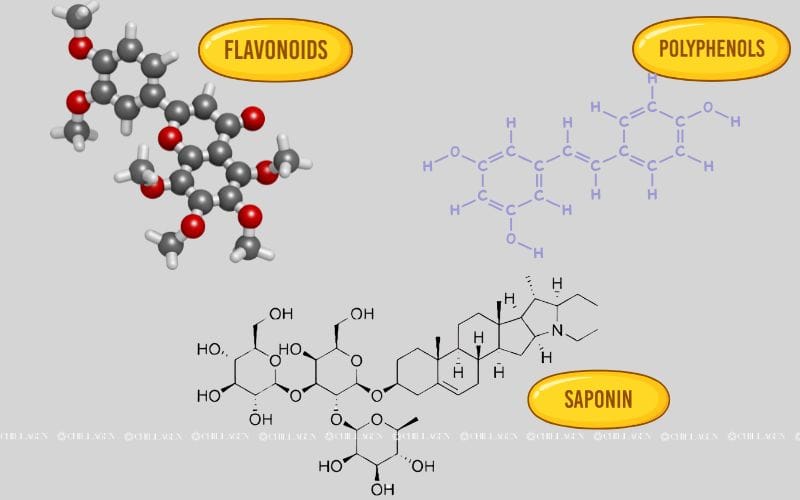 Trà Hoa Vàng Hạ Đường Huyết – Giải Pháp Tự Nhiên Cho Người Tiểu Đường