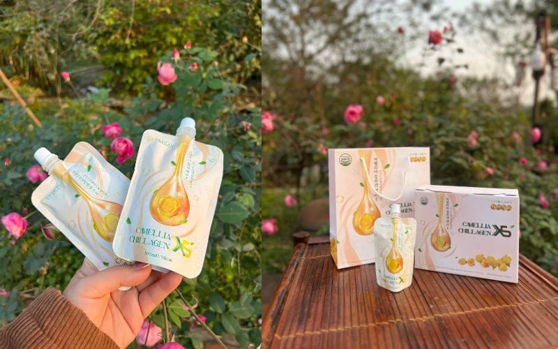 Trà Hoa Vàng Hạ Đường Huyết – Giải Pháp Tự Nhiên Cho Người Tiểu Đường