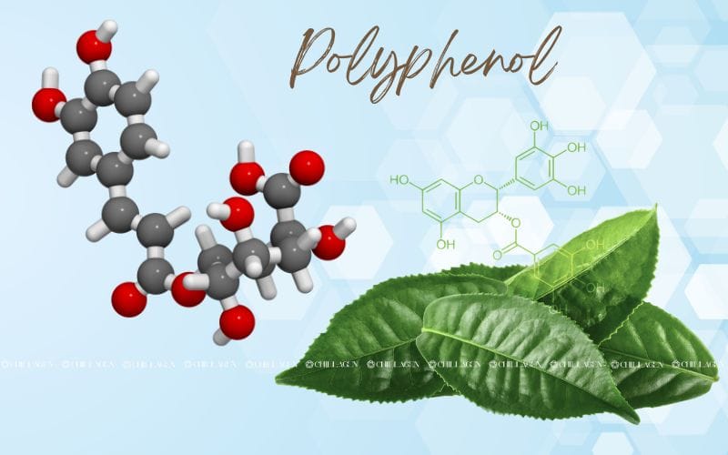 Trà Hoa Vàng Hỗ Trợ Hạ Huyết Áp – Bí Quyết Tự Nhiên Cho Tim Mạch Khỏe Mạnh