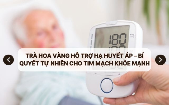 tra hoa vang ho tro ha huyet ap