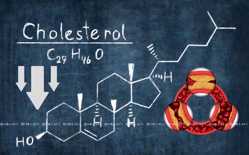 Trà Hoa Vàng Hỗ Trợ Tim Mạch – Giải Pháp Tự Nhiên Bảo Vệ Trái Tim Khỏe Mạnh
