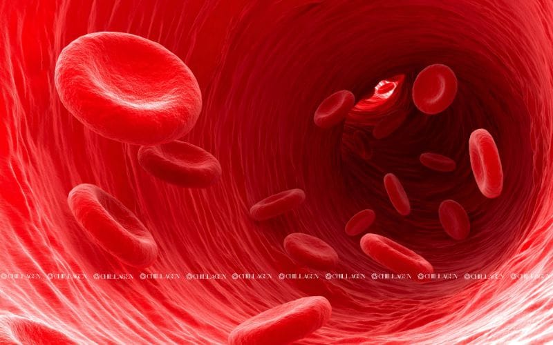 Trà Hoa Vàng Hỗ Trợ Tim Mạch – Giải Pháp Tự Nhiên Bảo Vệ Trái Tim Khỏe Mạnh