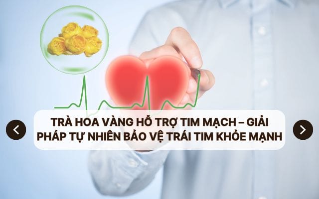 Trà Hoa Vàng Hỗ Trợ Tim Mạch – Giải Pháp Tự Nhiên Bảo Vệ Trái Tim Khỏe Mạnh
