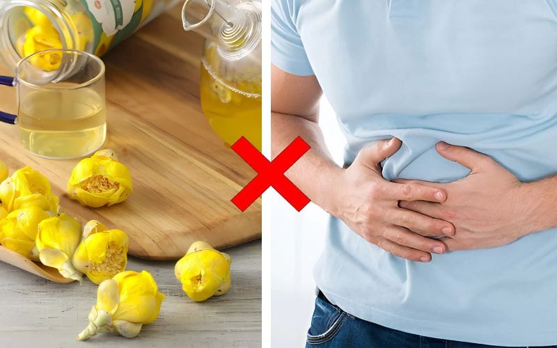 Trà hoa vàng có ảnh hưởng đến dạ dày không?