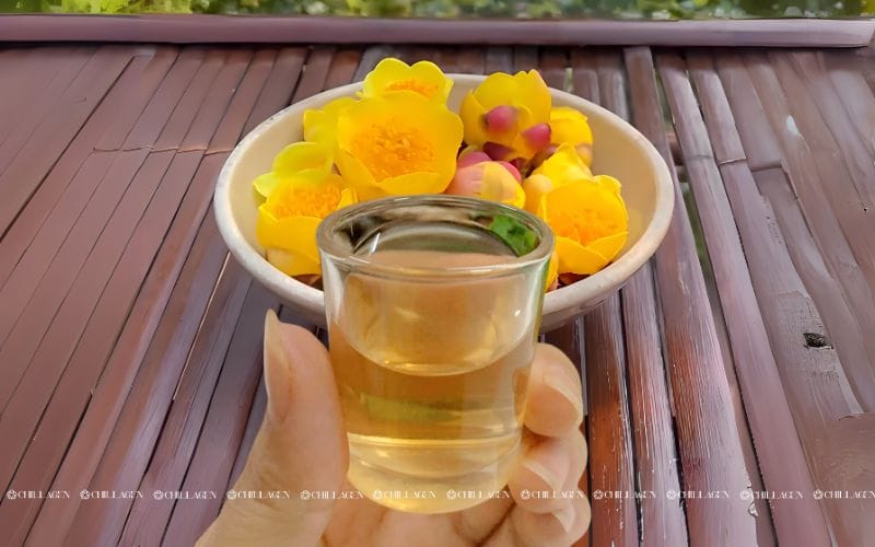 Cách ngâm rượu Trà hoa vàng chuẩn: Bí quyết giữ trọn dược tính quý 5 Cách ngâm rượu trà hoa vàng chuẩn: Bí quyết giữ trọn dược tính quý