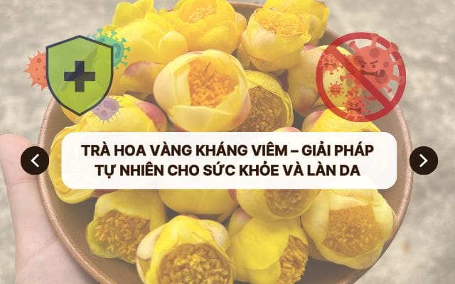 Trà hoa vàng kháng viêm – Giải pháp tự nhiên cho sức khỏe và làn da
