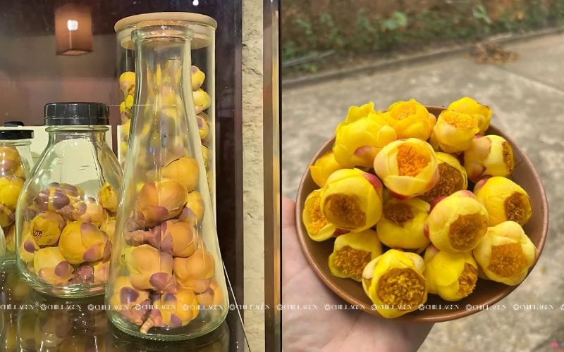 Trà Hoa Vàng tươi hay khô loại nào tốt hơn? So sánh chi tiết và cách chọn đúng 2 Trà Hoa Vàng Tươi Hay Khô Loại Nào Tốt Hơn? So Sánh Chi Tiết Và Cách Chọn Đúng