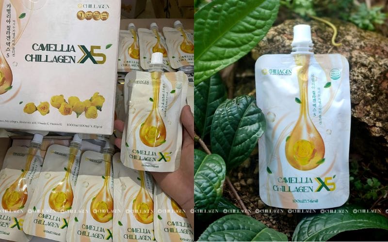 Trà Hoa Vàng tươi hay khô loại nào tốt hơn? So sánh chi tiết và cách chọn đúng 3 Trà Hoa Vàng Tươi Hay Khô Loại Nào Tốt Hơn? So Sánh Chi Tiết Và Cách Chọn Đúng