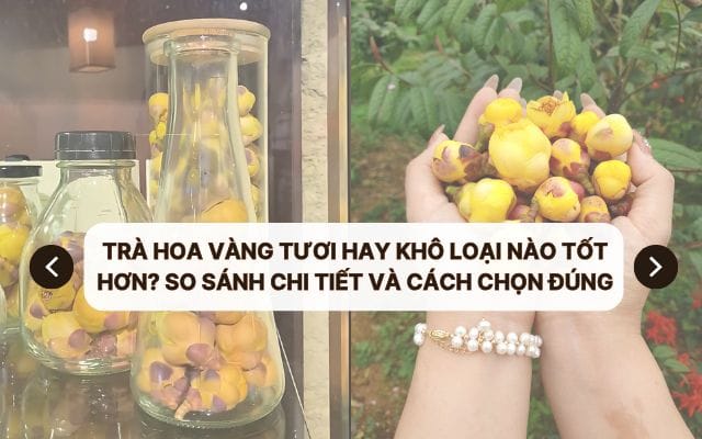 Trà Hoa Vàng Tươi Hay Khô Loại Nào Tốt Hơn? So Sánh Chi Tiết Và Cách Chọn Đúng