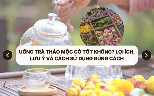 uong tra thao moc co tot khong
