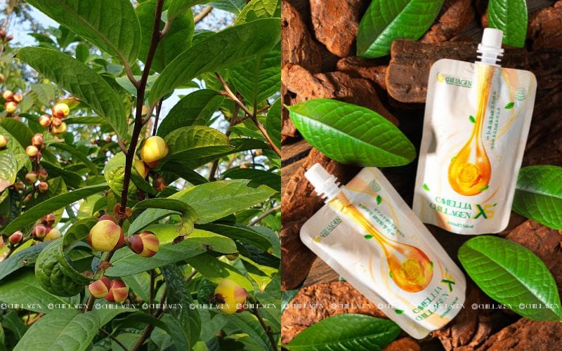 Cách chữa mất ngủ tự nhiên: Giải pháp ngủ sâu và tràn đầy năng lượng 4 Cách chữa mất ngủ tự nhiên: Giải pháp ngủ sâu và tràn đầy năng lượng