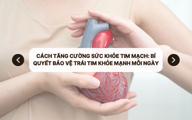 cach tang cuong suc khoe tim mach