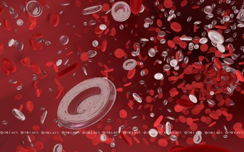 Tầm quan trọng của vitamin C trong cơ thể: Bí quyết duy trì sức khỏe và làn da rạng rỡ