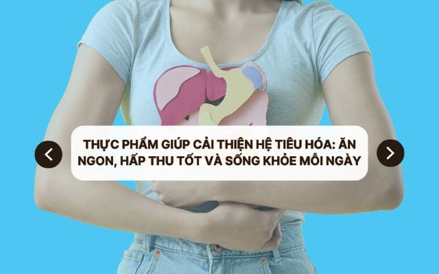 Thực phẩm giúp cải thiện hệ tiêu hóa: Ăn ngon, hấp thu tốt và sống khỏe mỗi ngày