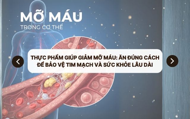 Thực phẩm giúp giảm mỡ máu: Ăn đúng cách để bảo vệ tim mạch và sức khỏe lâu dài
