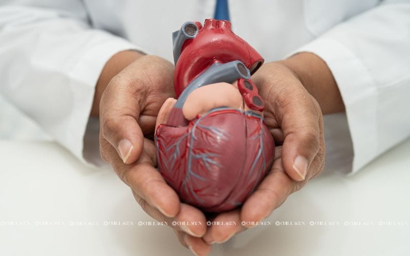 Cách phòng ngừa bệnh tim mạch: Giải pháp bảo vệ sức khỏe từ sớm 1 Cách phòng ngừa bệnh tim mạch: Giải pháp bảo vệ sức khỏe từ sớm