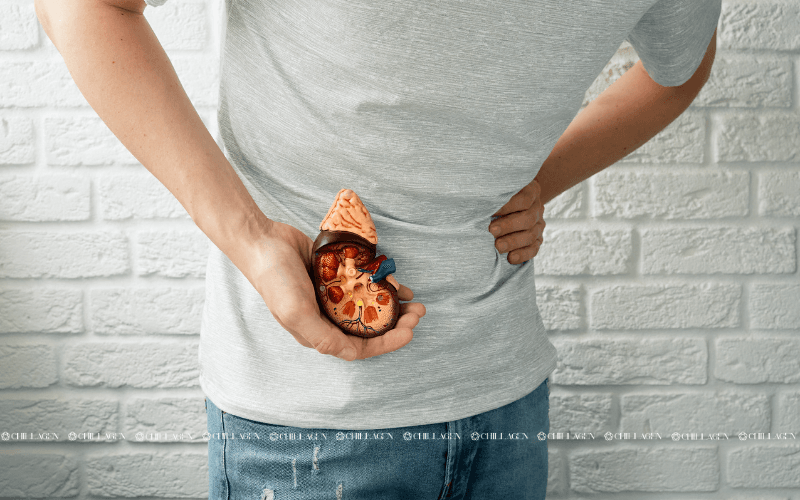 Cách phòng ngừa bệnh suy thận: Bảo vệ chức năng thận từ sớm 1 Cách phòng ngừa bệnh suy thận: Bảo vệ chức năng thận từ sớm